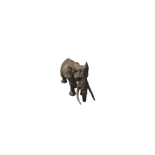 elephant_ii_sv_rm (1)